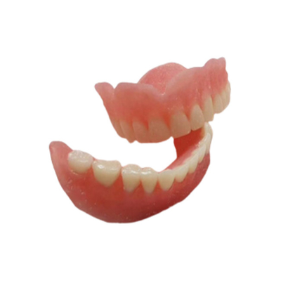 Modelos dentales de Digitaces del OEM del laboratorio dental de goma superficial liso de la dentadura