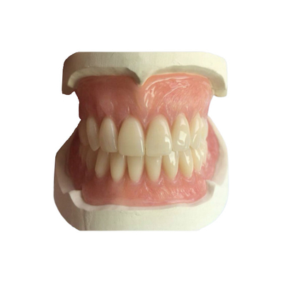 CAD-CAM que 3D de goma imprimió las coronas son fáciles de mantener y de caber