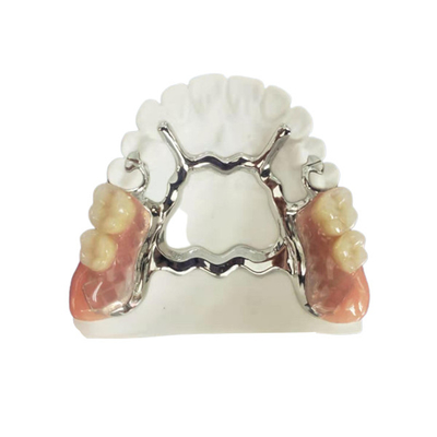 Natrural sombrea 3D que imprime la dentadura desprendible fija para el dentista Study