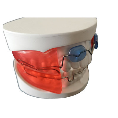 Los dispositivos ortodónticos dentales simples instalan el material biológico de la alta tecnología