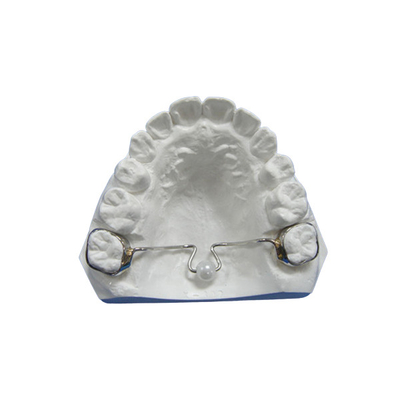 Dispositivo funcional dental, alta precisión, superficie lisa, cómoda llevar