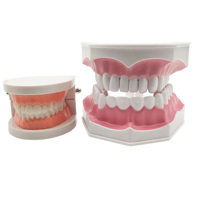 Dentaduras de laboratorio Implantes dentales rellenos dentales Recubrimientos restaurativos completos Dentadura postiza