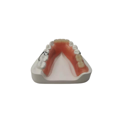 Dentaduras postizas de resina flexible, laboratorio dental, dentaduras postizas parciales extraíbles de acrílico dental
