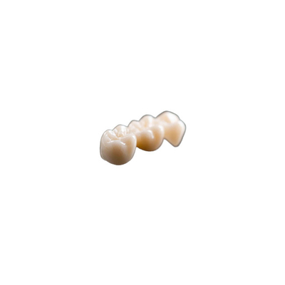 Lleve la corona dental de cerámica natural Rich Manufacturing Experience Comfortable