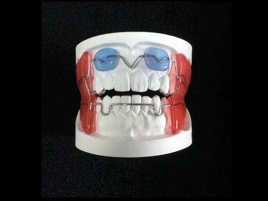 Buena fijación Anchorage adecuada del dispositivo funcional dental fijo del dispositivo