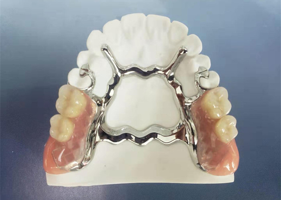 Natrural sombrea 3D que imprime la dentadura desprendible fija para el dentista Study