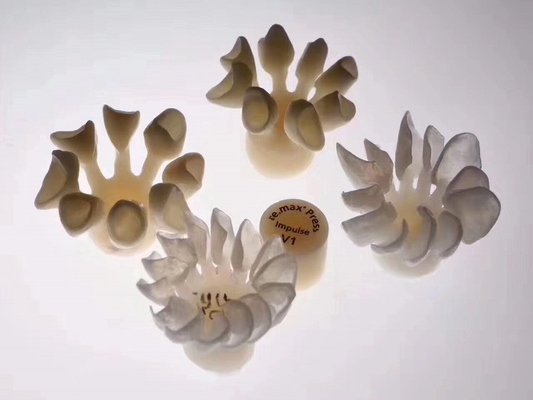 Las chapas compuestas dentales de Durablity CAD-CAM detallaron altamente exacto