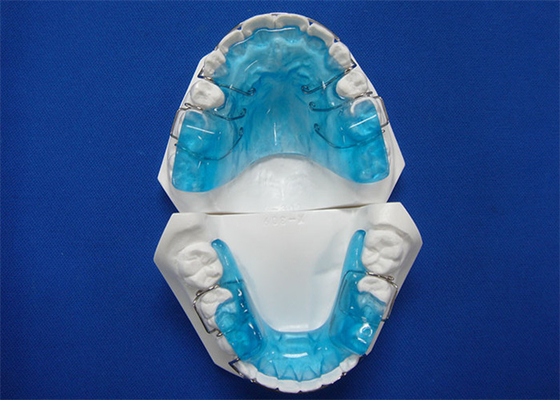 El CE dental FDA ISO certificó el artículo fácil del mantenimiento de la tecnología ortodóntica