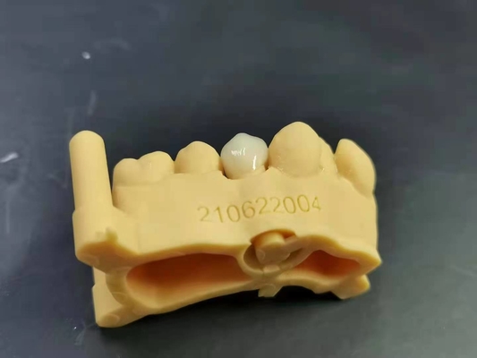 OEM 3D que imprime el diseño dental de Digitaces del laboratorio de la dentadura de acrílico flexible