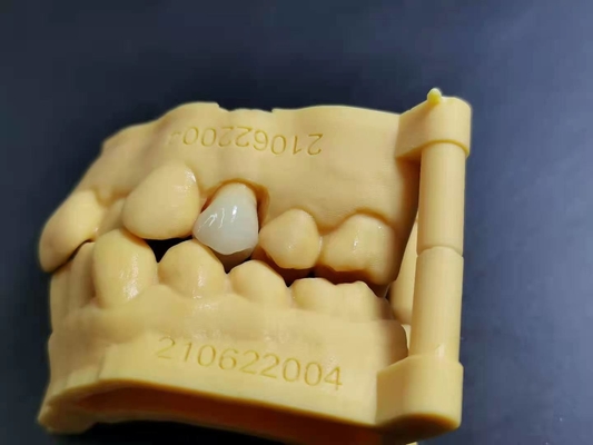 OEM 3D que imprime el diseño dental de Digitaces del laboratorio de la dentadura de acrílico flexible