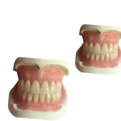 La leva dental 3D de goma del laboratorio de la dentadura del cad imprimió la sombra de Natrural de la corona del diente