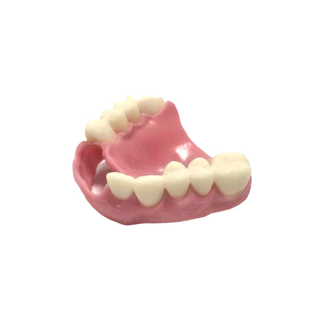 Leva 3D del cad que imprime el laboratorio dental de la dentadura natural del color de las dentaduras
