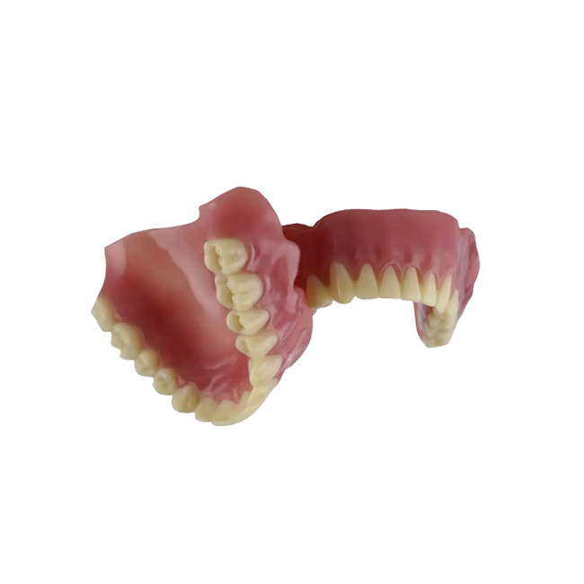 Establo confiado y hermoso del aspecto realista de la corona dental de la porcelana del color